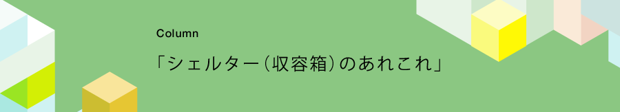 コラム「シェルターのあれこれ」